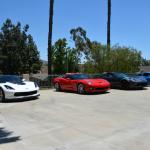 Tortoise_005 (June 17, 2017)